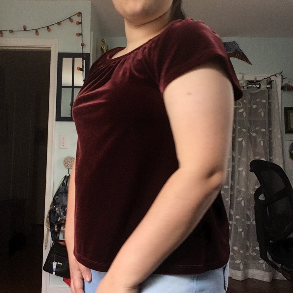 Berry Velvet Top